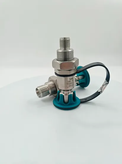 Professional Tech-Assistance Easy Maintenance Nzφ8-Fitting Gas Inlet Adapter